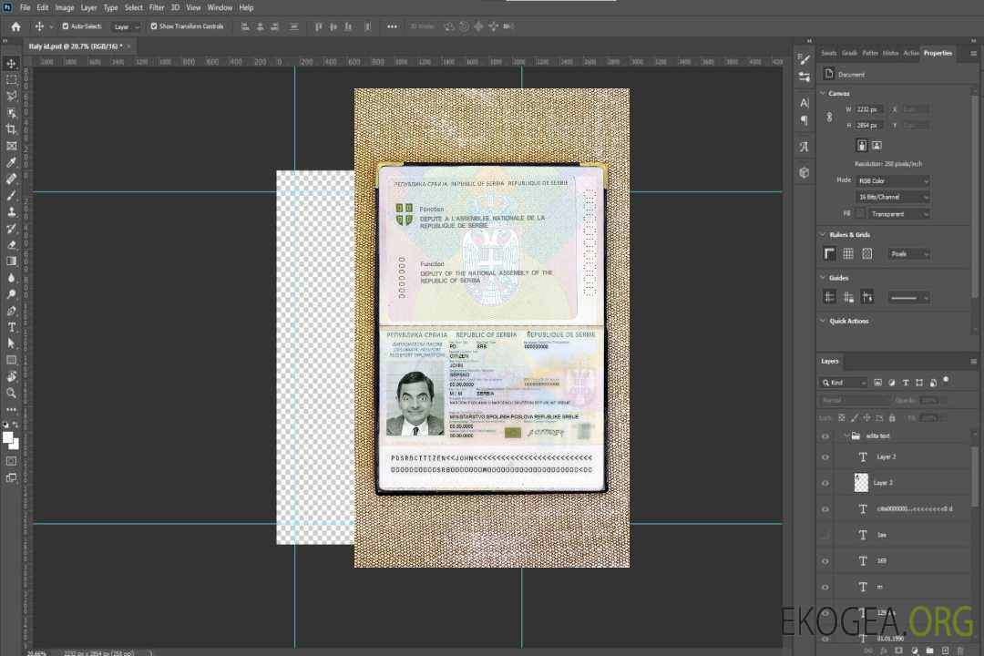 Aperçu photo du passeport diplomatique de la Serbie (2008-2016) template
